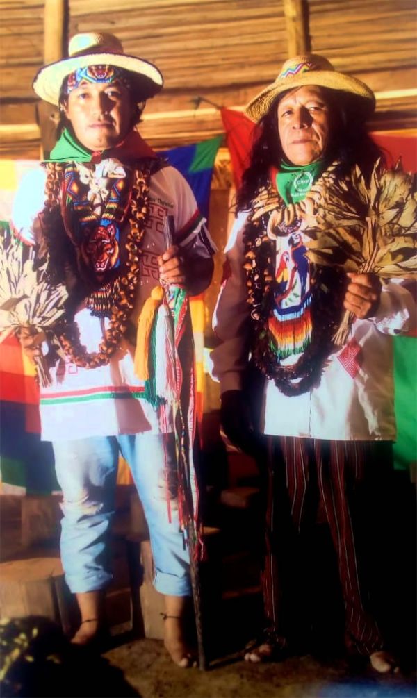 Taitas Yagé Colombia